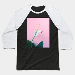 peace lily, lily, flower, peace, plant, white lily, calla lily, bloom, white, white flower, peace lily flower, spathiphyllum, peace flower, house plant, peace lily bloom Baseball T-Shirt